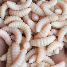 Load image into Gallery viewer, Anmuka Brand Promotion!! HOT SELL!! 50PCS 2cm 0.3g maggot Grub Soft Lure Baits smell Worms Glow Shrimps Fishing Lures 21001-50