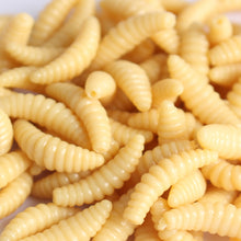 Load image into Gallery viewer, Anmuka Brand Promotion!! HOT SELL!! 50PCS 2cm 0.3g maggot Grub Soft Lure Baits smell Worms Glow Shrimps Fishing Lures 21001-50