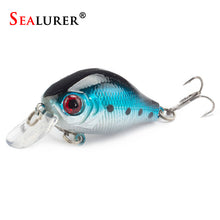 Load image into Gallery viewer, Brand Lifelike VIB Floating Fishing Lure 5.5CM 9G Pesca Hooks Fish Wobbler Tackle Crankbait Artificial Japan Hard Bait