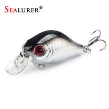 Load image into Gallery viewer, Brand Lifelike VIB Floating Fishing Lure 5.5CM 9G Pesca Hooks Fish Wobbler Tackle Crankbait Artificial Japan Hard Bait
