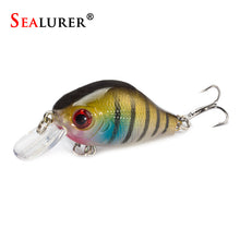 Load image into Gallery viewer, Brand Lifelike VIB Floating Fishing Lure 5.5CM 9G Pesca Hooks Fish Wobbler Tackle Crankbait Artificial Japan Hard Bait